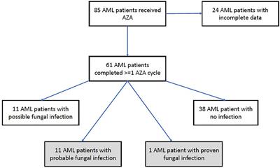 High rate of invasive fungal infections during early cycles of azacitidine for patients with acute myeloid leukemia